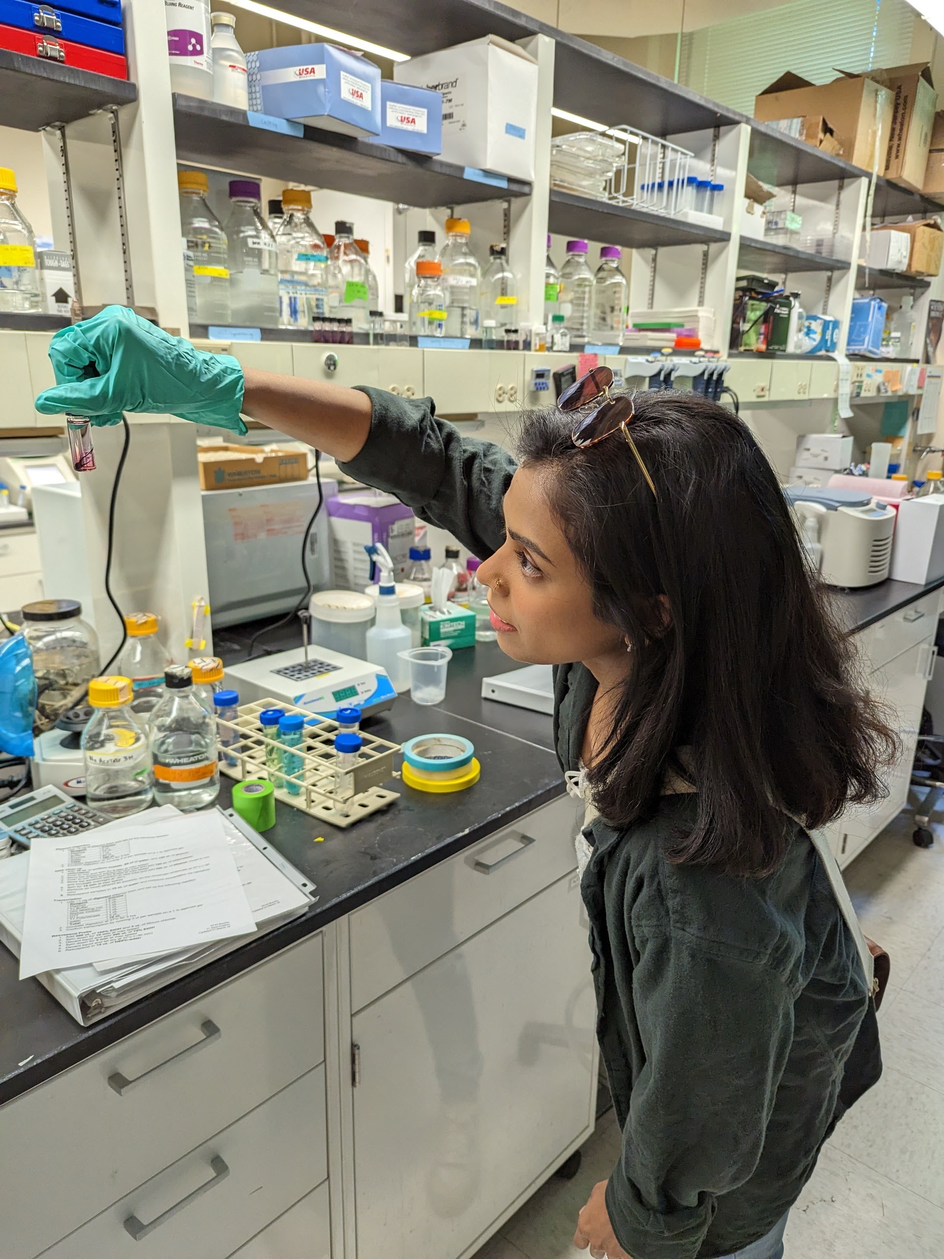 Gayani Senevirathne | Developmental and Evolutionary Genetics Lab