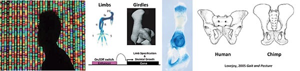 researchpage4.jpg