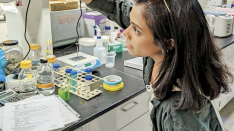article picture