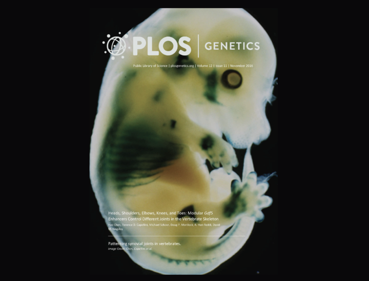 PLOS Cover