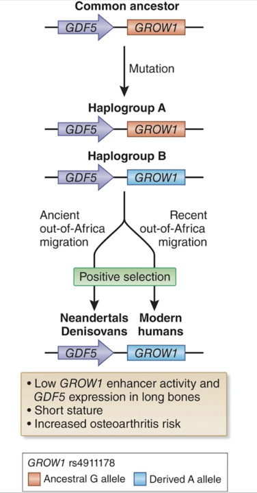 image from article